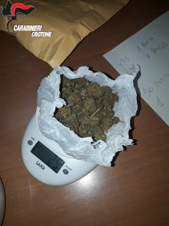 Due arresti per detenzione e coltivazione di sostanze stupefacenti