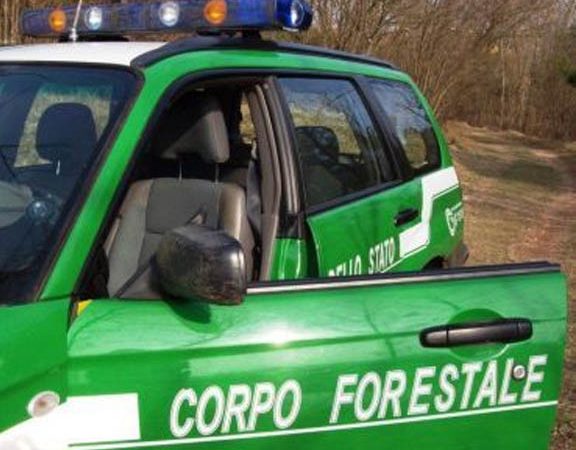 Cotronei: illecito in località Terrate