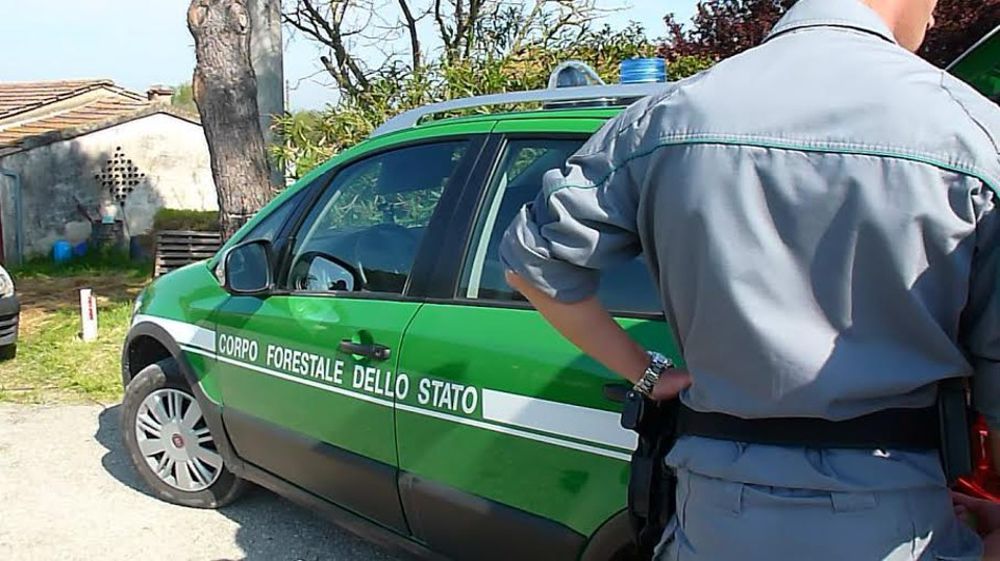 RITROVATO CERCATORE DI FUNGHI CHE SI ERA SMARRITO NEI BOSCHI