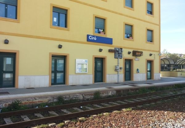 Mucca investita da un treno
  