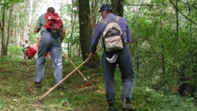 Forestazione, incontro tra Oliverio e i sindacati per discutere le difficoltà legate al comparto