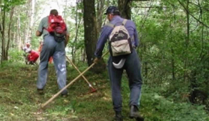 Forestazione, incontro tra Oliverio e i sindacati per discutere le difficoltà legate al comparto
  