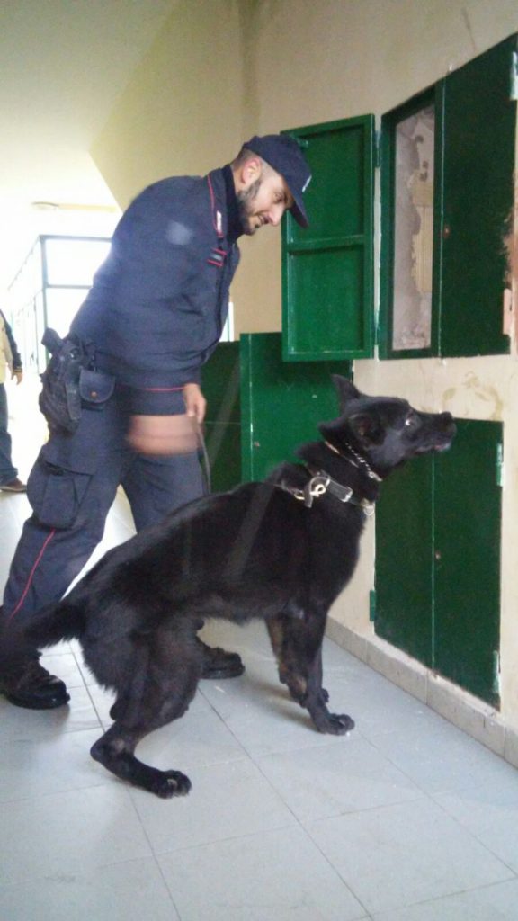 Controlli dei Carabinieri nelle periferie, un arresto, droga e soldi falsi sequestrati.
  