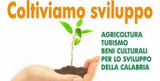 Coltiviamo sviluppo: convegno sull’agricoltura a Petilia Policastro
  