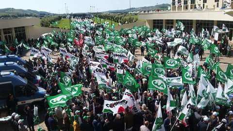 “Ei fu.. siccome immobile” Duemila Agricoltori in Protesta alla Regione Calabria