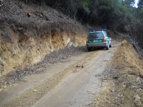 Roccabernarda, la Forestale individua e denuncia attività boschive irregolari