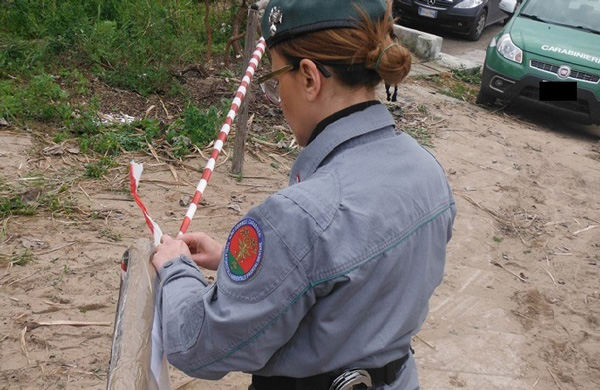 Savelli, sequestrato un bosco tagliato illecitamente
  