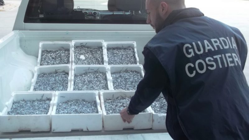 Crotone: non idoneo al consumo umano, sequestrati 45 kg di “bianchetto”