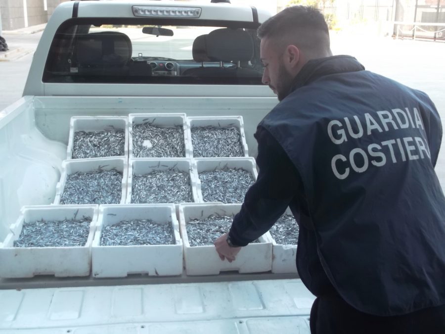 Crotone: non idoneo al consumo umano, sequestrati 45 kg di “bianchetto”