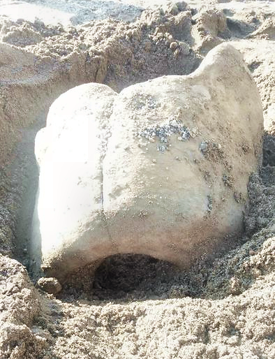 Ritrovati reperti archeologici sulla spiaggia di Praialonga: in corso le analisi approfondite
  