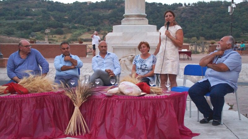 Filiera corta sul grano Cappelli sostenuta dall’Accademia delle tradizioni