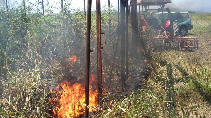 Crotone, denunciato agricoltore che bruciava rifiuti plastici e tossici nel suo fondo agricolo