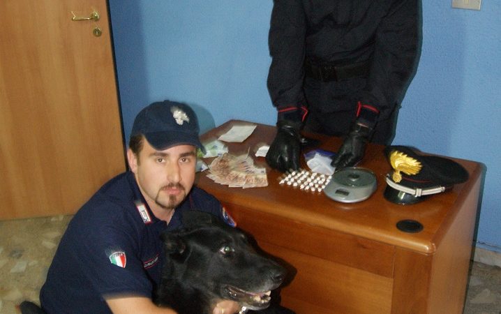 Mesoraca, il pastore tedesco dei Carabinieri fiuta il nascondiglio della droga: arrestato spacciatore