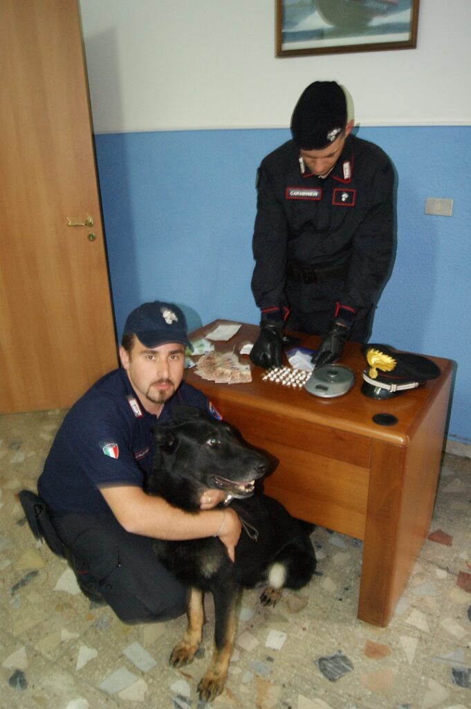 Mesoraca, il pastore tedesco dei Carabinieri fiuta il nascondiglio della droga: arrestato spacciatore