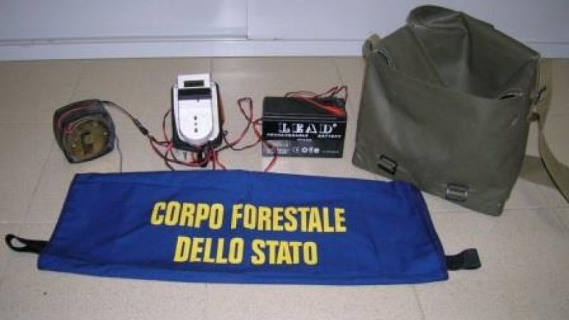 Antibracconaggio: sequestrato un richiamo acustico illegale assicurato ad un traliccio dell’alta tensione a Strongoli