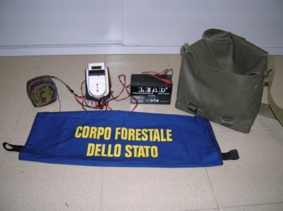 Antibracconaggio: sequestrato un richiamo acustico illegale assicurato ad un traliccio dell’alta tensione a Strongoli
  