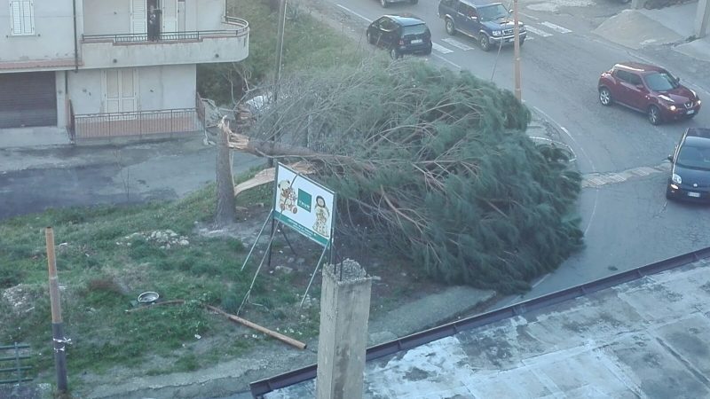 Continua l’allerta meteo per il forte vento: consigli della Protezione civile