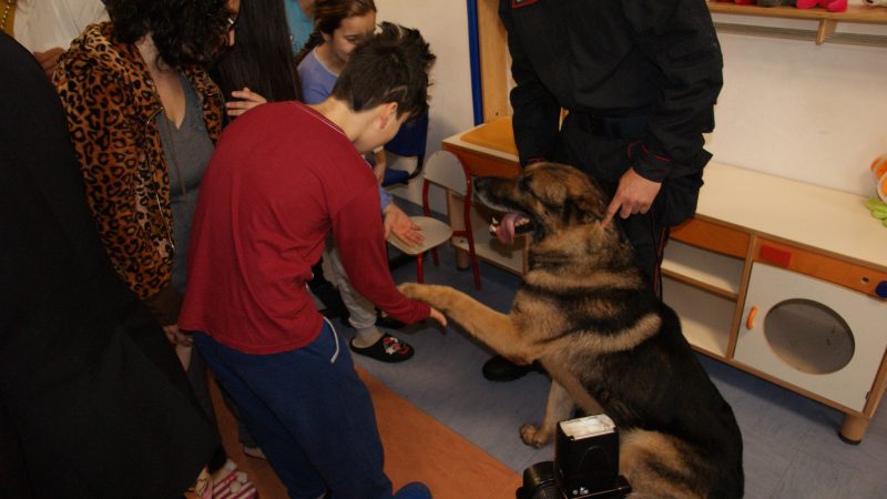 Per i bambini di Pediatria una mattinata in compagnia dei Carabinieri e delle unità cinofile