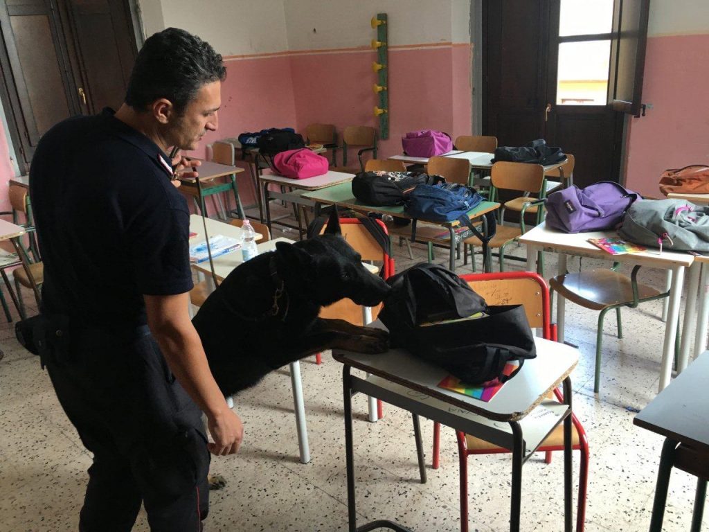 Controlli a tappeto nelle scuole per prevenire lo spaccio di droga