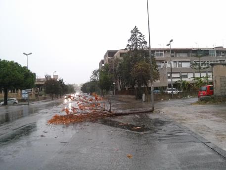 Allerta meteo, da domani previsti venti di burrasca forte
  