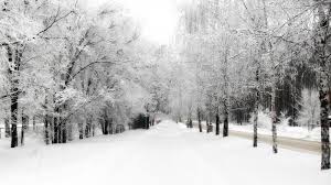 Neve su tutta la Calabria: raggiunte le coste, -11° a Monte Botte Donato