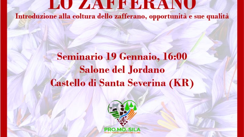 Coltivazione dello Zafferano: seminario a Santa Severina