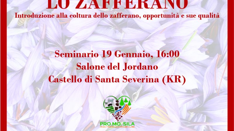 Coltivazione dello Zafferano: seminario a Santa Severina