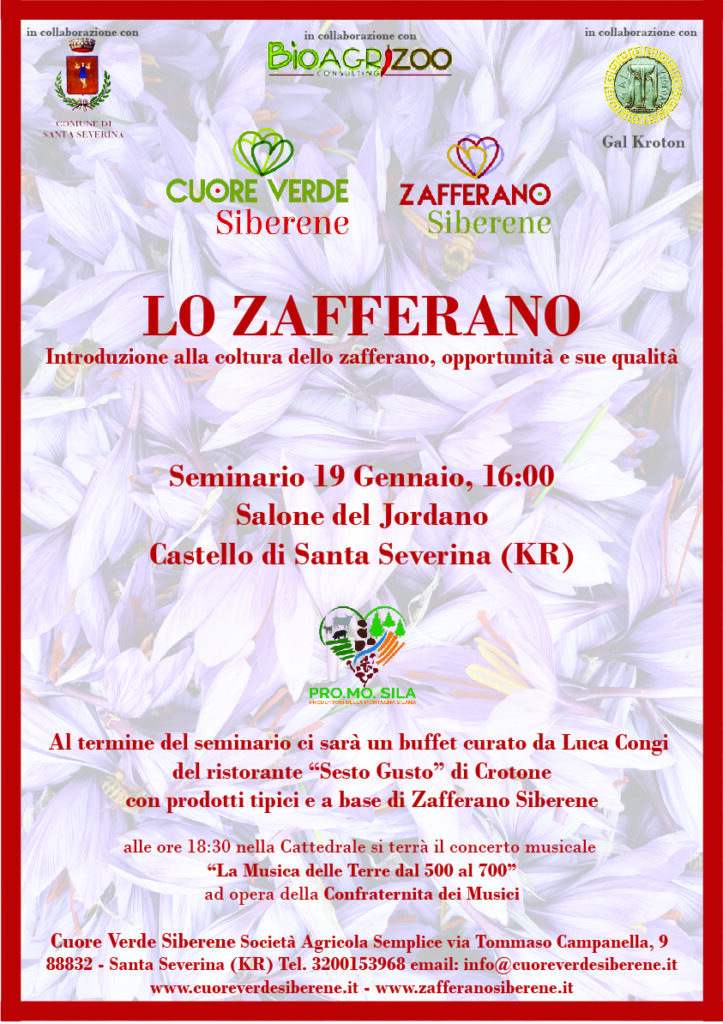 Coltivazione dello Zafferano: seminario a Santa Severina
  