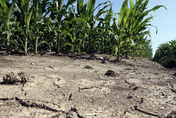 Emergenza siccità in Calabria. Richiesto il riconoscimento di calamità naturale