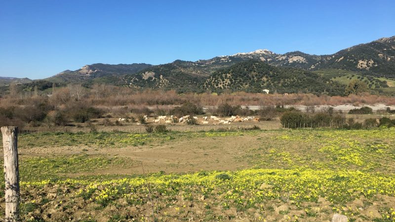 Pic-Nic per liberare la Biovalle del Nicà dalla spazzatura