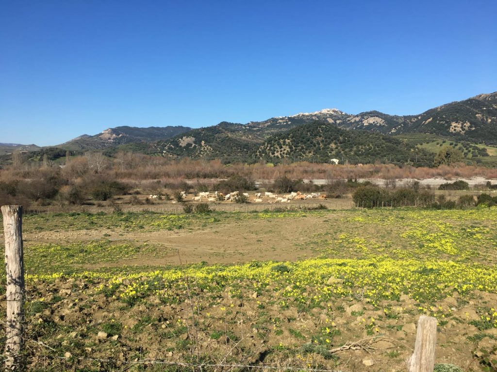 Pic-Nic per liberare la Biovalle del Nicà dalla spazzatura