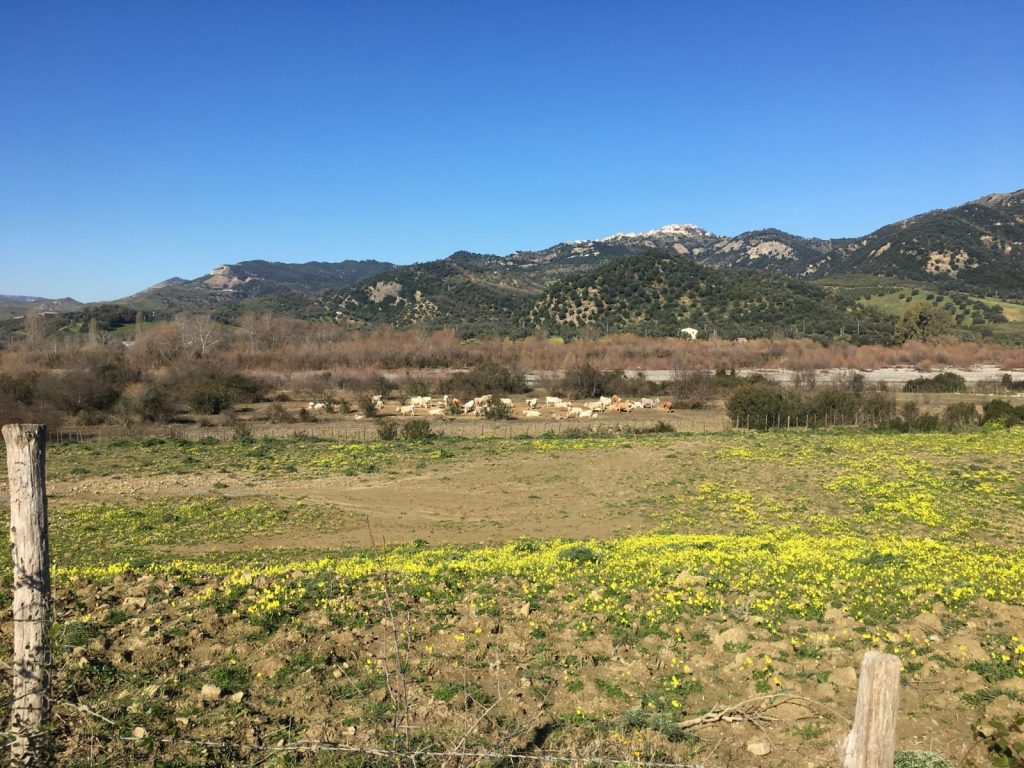 Pic-Nic per liberare la Biovalle del Nicà dalla spazzatura
  