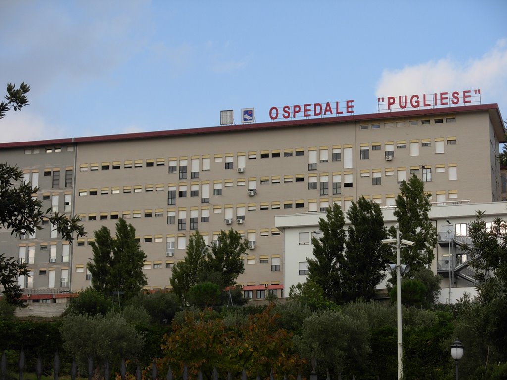 Aggressione del giovane bolognese: Resta in carcere Passalacqua
  