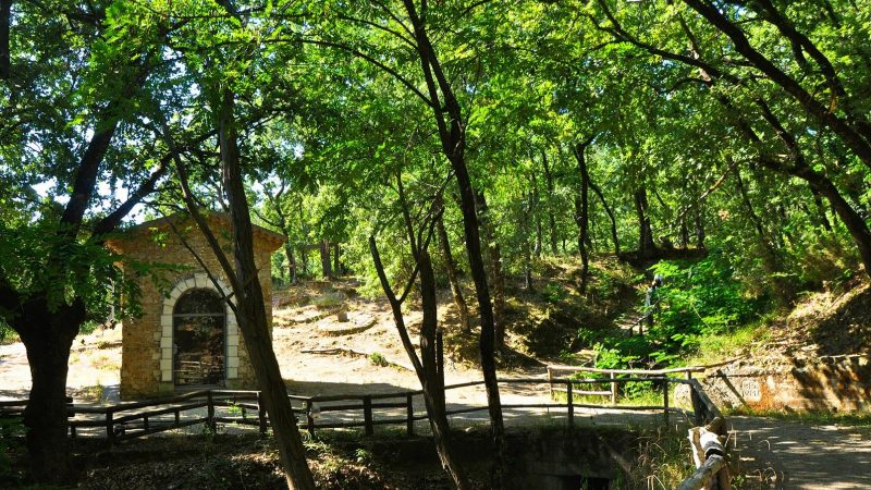 Comunità del Parco, Nicolazzi e Parise: Il crotonese lasciato fuori