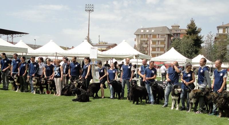 Franco e Mario Garofalo promotori della razza canina “Pastore della Sila”.