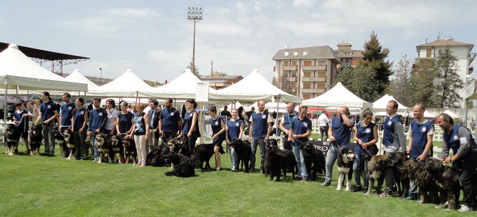 Franco e Mario Garofalo promotori della razza canina “Pastore della Sila”.