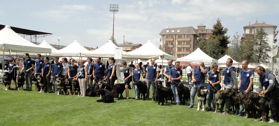 Franco e Mario Garofalo promotori della razza canina “Pastore della Sila”.
  