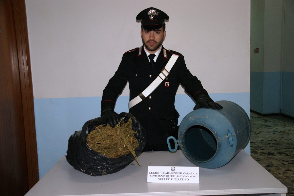 I Militari di Petilia trovano 2,4 Kg di marijuana