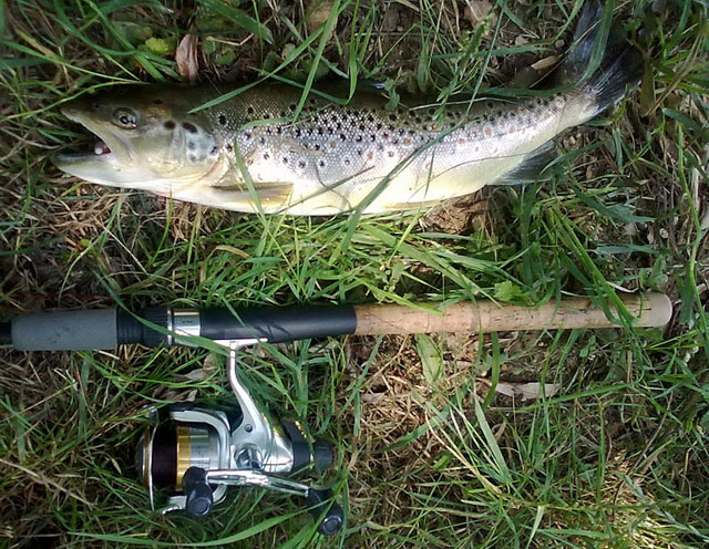 Tre denuncie per pesca con generatore elettrico.