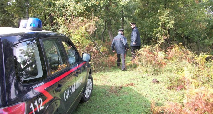 RITROVATI ALLE PRIME LUCI DELL’ALBA QUATTRO CIROTANI DISPERSI NEI BOSCHI DI VERZINO
  