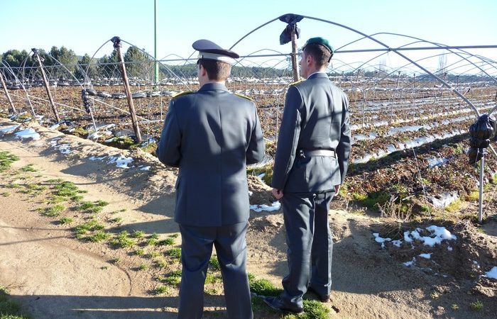 Segnalato imprenditore agricolo:truffa con danno erariale da 175 mila €uro