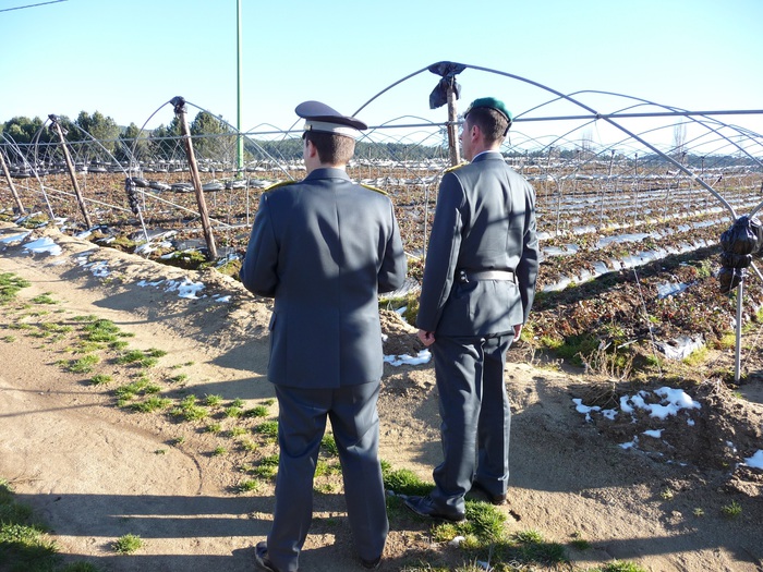 Segnalato imprenditore agricolo:truffa con danno erariale da 175 mila €uro
  