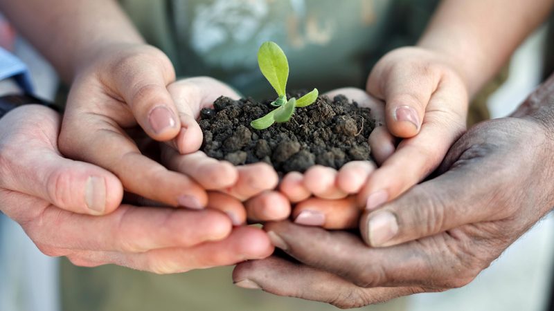 Regione Calabria: presentato l’osservatorio per l’agricoltura sociale