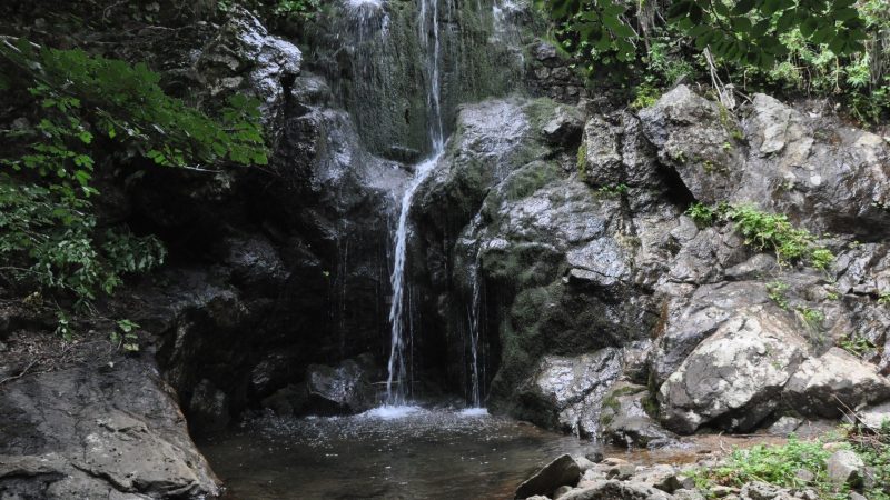 Agosto nel Parco Nazionale della Sila con Legambiente