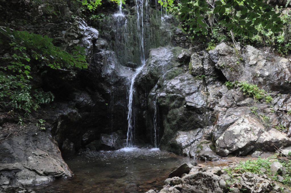 Agosto nel Parco Nazionale della Sila con Legambiente