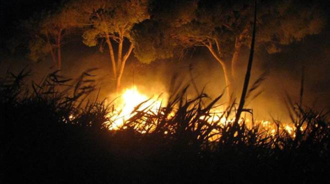 Incendi nel crotonese: la macchia mediterranea di Sovereto distrutta dalle fiamme
  