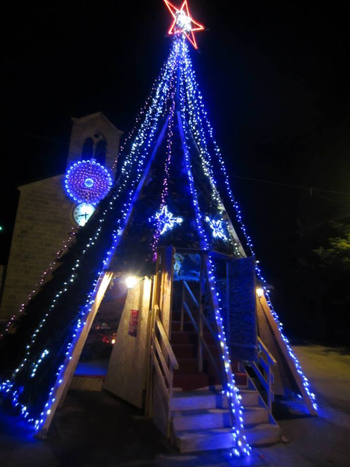 Un albero davvero particolare
