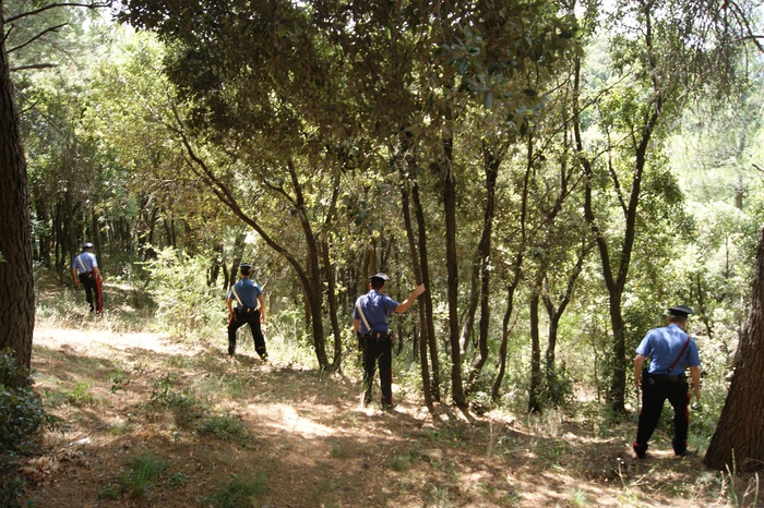 Bambino disperso a Monte Fuscaldo, ritrovato dai carabinieri
  