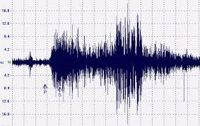 Terremoto di magnitudo 3.9 in Calabria.