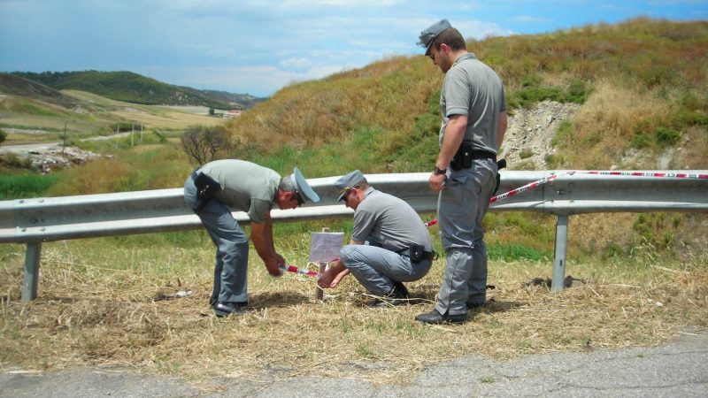 Grano coltivato su terreni inquinati: scatta il sequestro della forestale